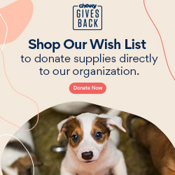 Order pet food through Chewy to support Fur and Floss
